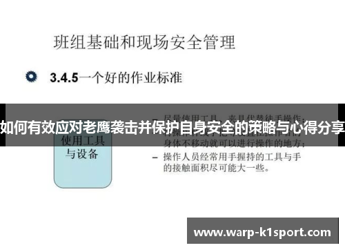 如何有效应对老鹰袭击并保护自身安全的策略与心得分享