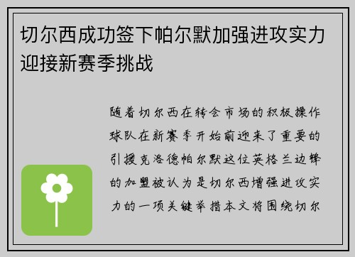 切尔西成功签下帕尔默加强进攻实力迎接新赛季挑战